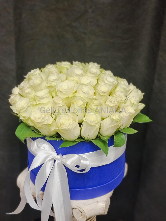 Gėlių dėžutė "Balta-mėlyna"